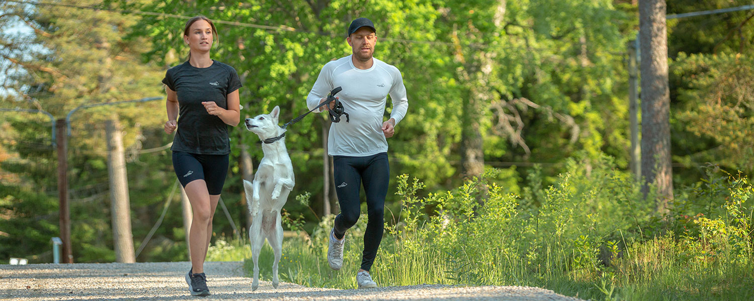 funktions-banner-dator-b2b